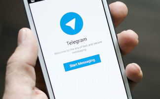 telegeram纸飞机树洞聊天app（Telegram纸飞机怎么玩） 第1张