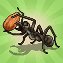 口袋蚂蚁（Pocket Ants）