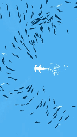 深海鱼群（Shoal of fish）